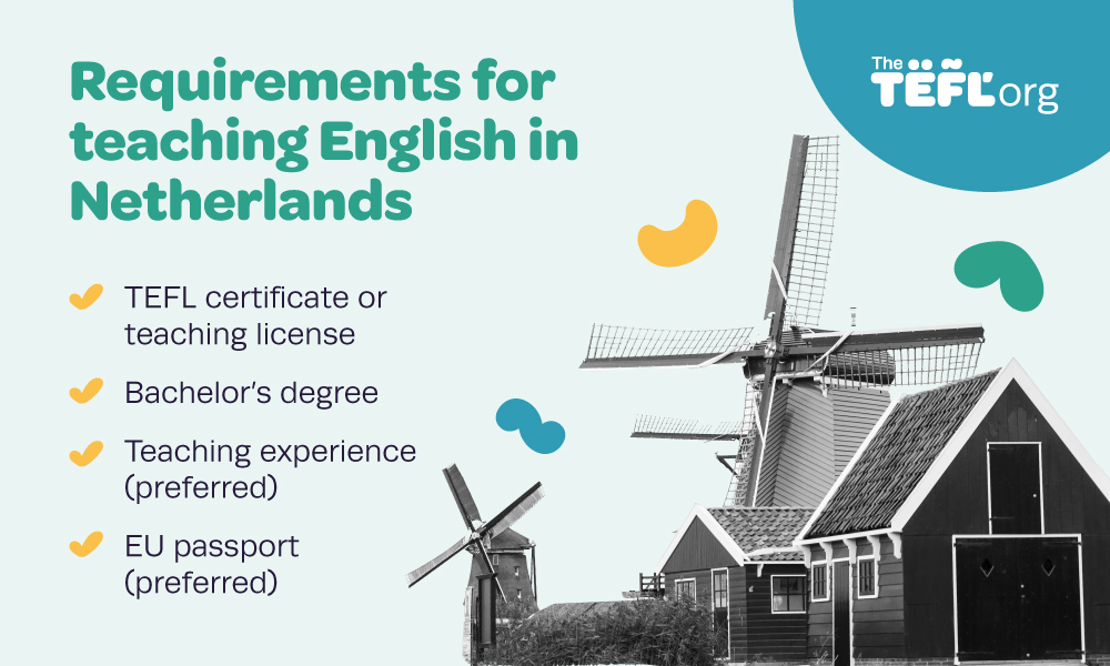 Infographic listing requirements for teaching English in the Netherlands: a TEFL certificate or teaching license, a bachelor's degree, teaching experience (preferred), and an EU passport (preferred).