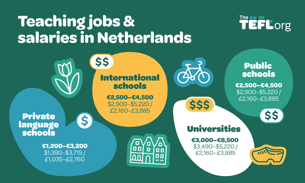 Infographic showing teaching jobs and salaries in the Netherlands: private language schools pay €1,200–€3,200 per month, international schools pay €2,500–€4,500 per month, public schools pay €2,500–€4,500 per month, and universities pay €3,000–€8,500 per month.