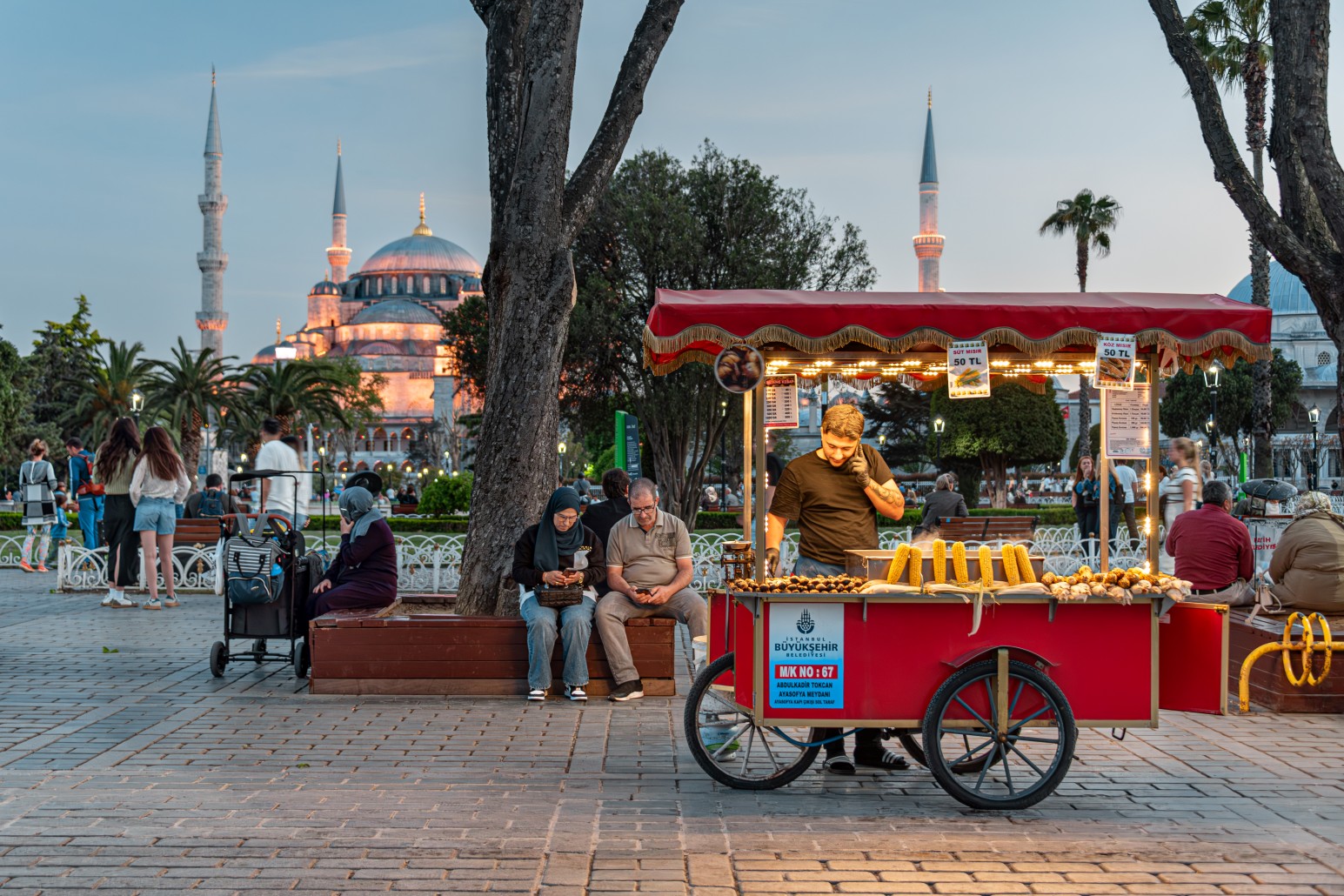 Sultan Ahmed (Blue) Mosque minarets and dome at dusk, seen beyond a street vendor's cart selling roasted chestnuts and corn in Sultanahmet Square, Istanbul