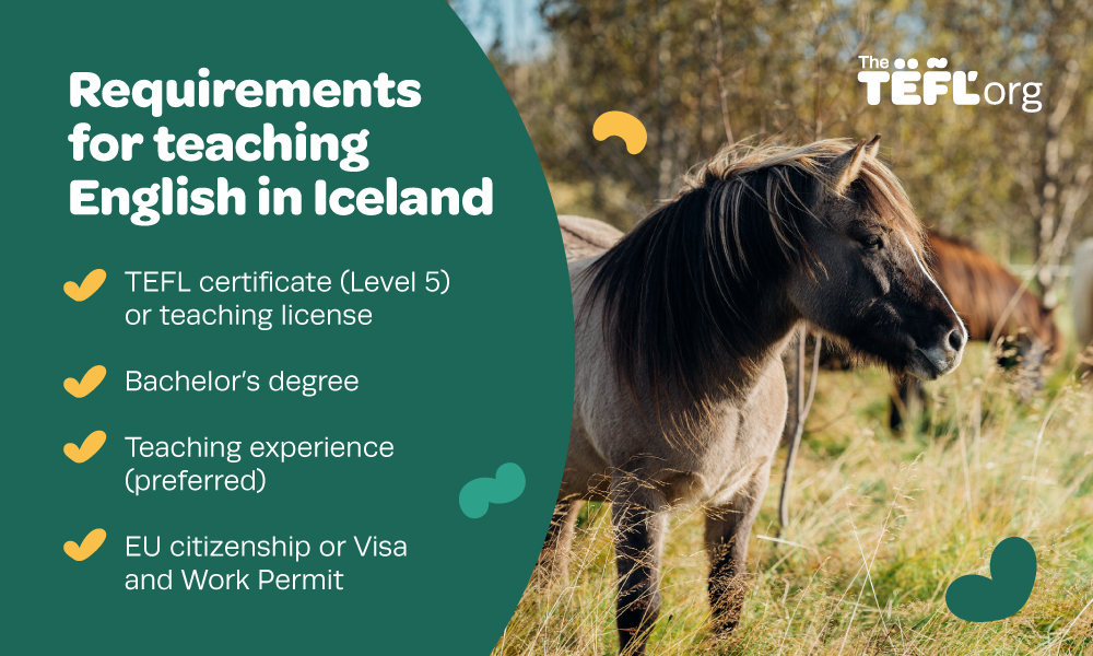 Infographic listing requirements for teaching English in Iceland: a TEFL certificate (Level 5) or teaching license, a bachelor’s degree, teaching experience (preferred), and EU citizenship or a Visa and Work Permit
