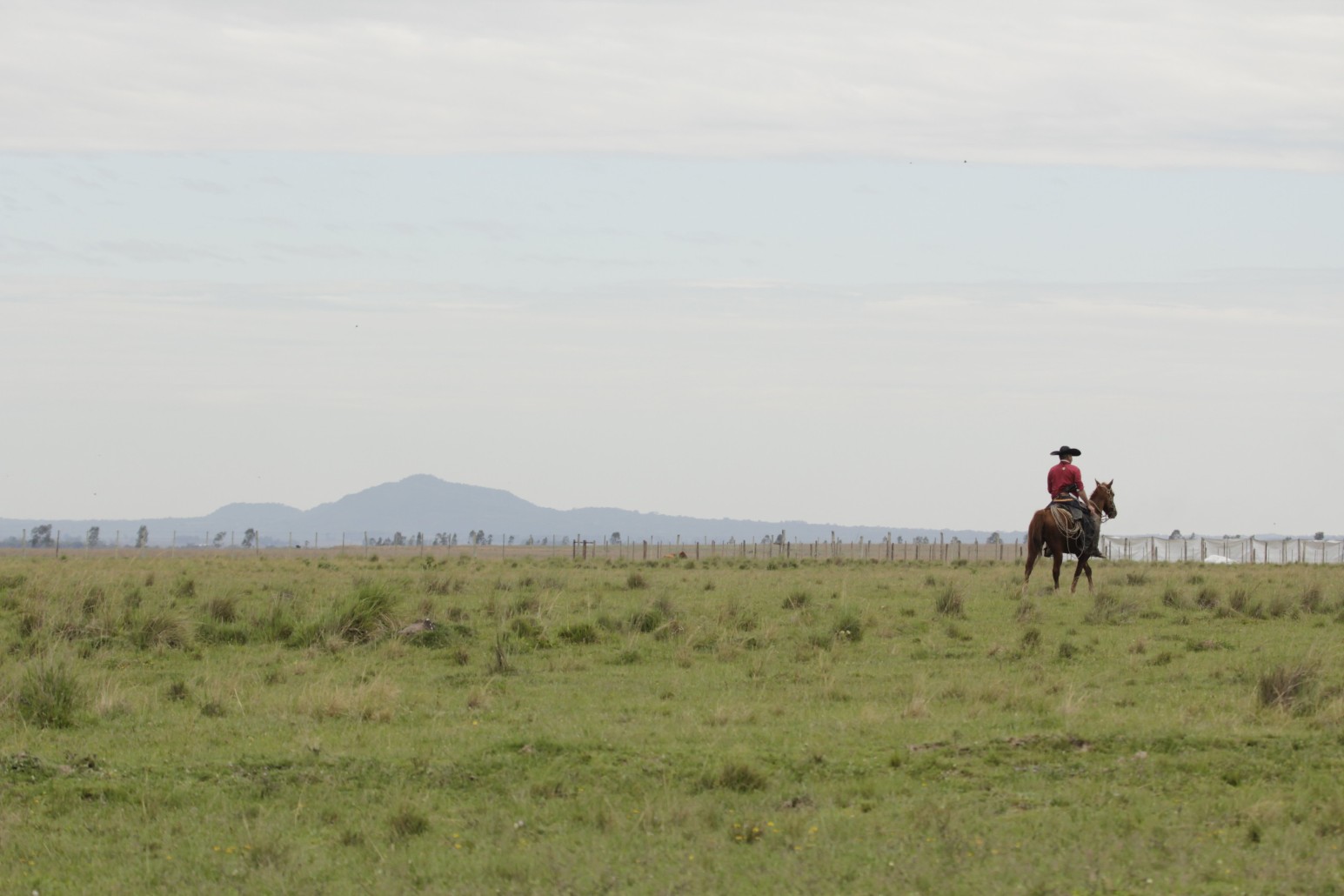 A lone rider in a red shirt and wide-brimmed hat crossing open grassland in Misiones, Paraguay, with a low hill on the distant horizon.