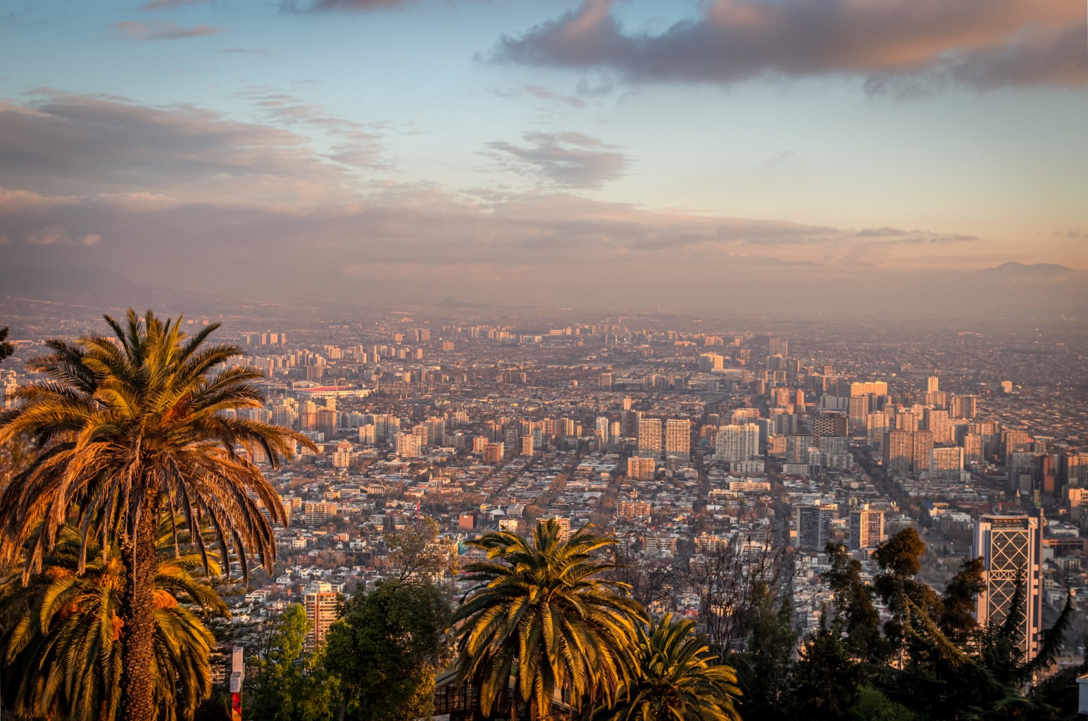 Santiago seen from above at sunset, palm trees in the foreground and the city’s high-rise blocks stretching towards the Andes on the hazy horizon.