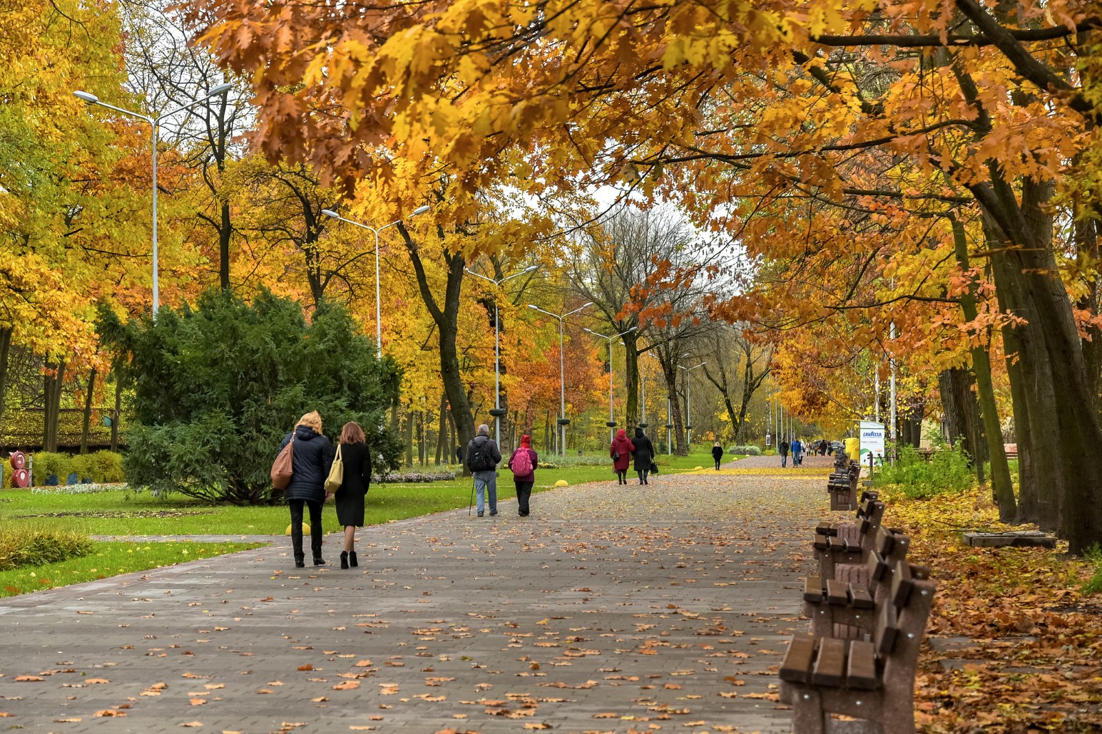 People walking along a tree-lined path through a park in Kyiv in autumn