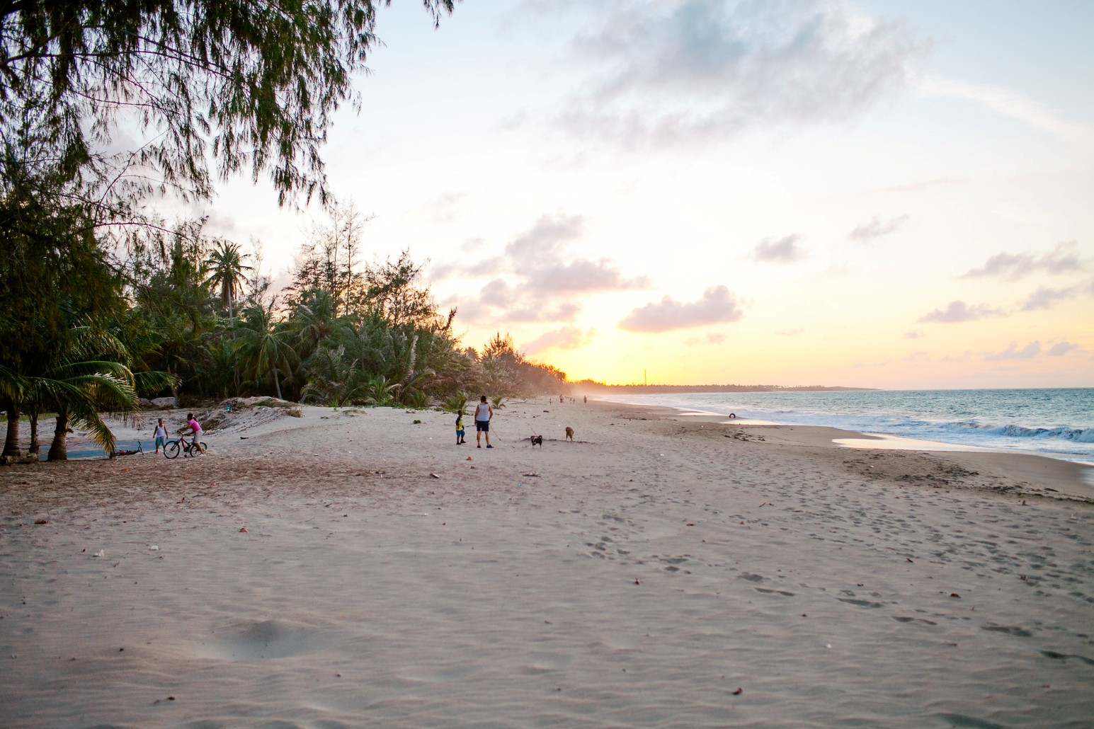 A wide sandy beach in Puerto Rico at sunset, with families and dogs walking near the palm-lined treeline as waves break along the shore.