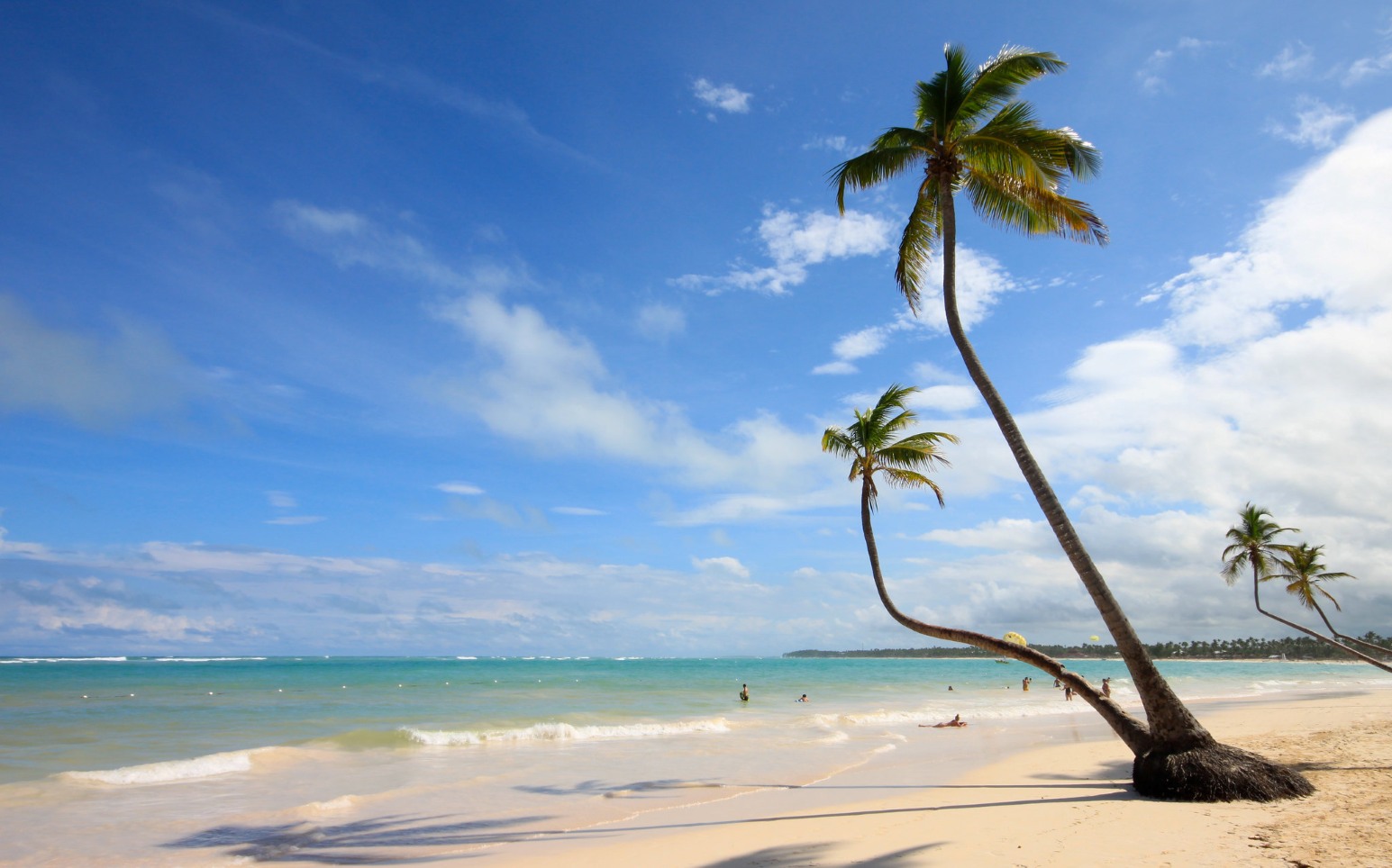 Tall curved palm trees leaning over a white sand beach in Punta Cana, Dominican Republic, with swimmers in the turquoise sea under a bright blue sky