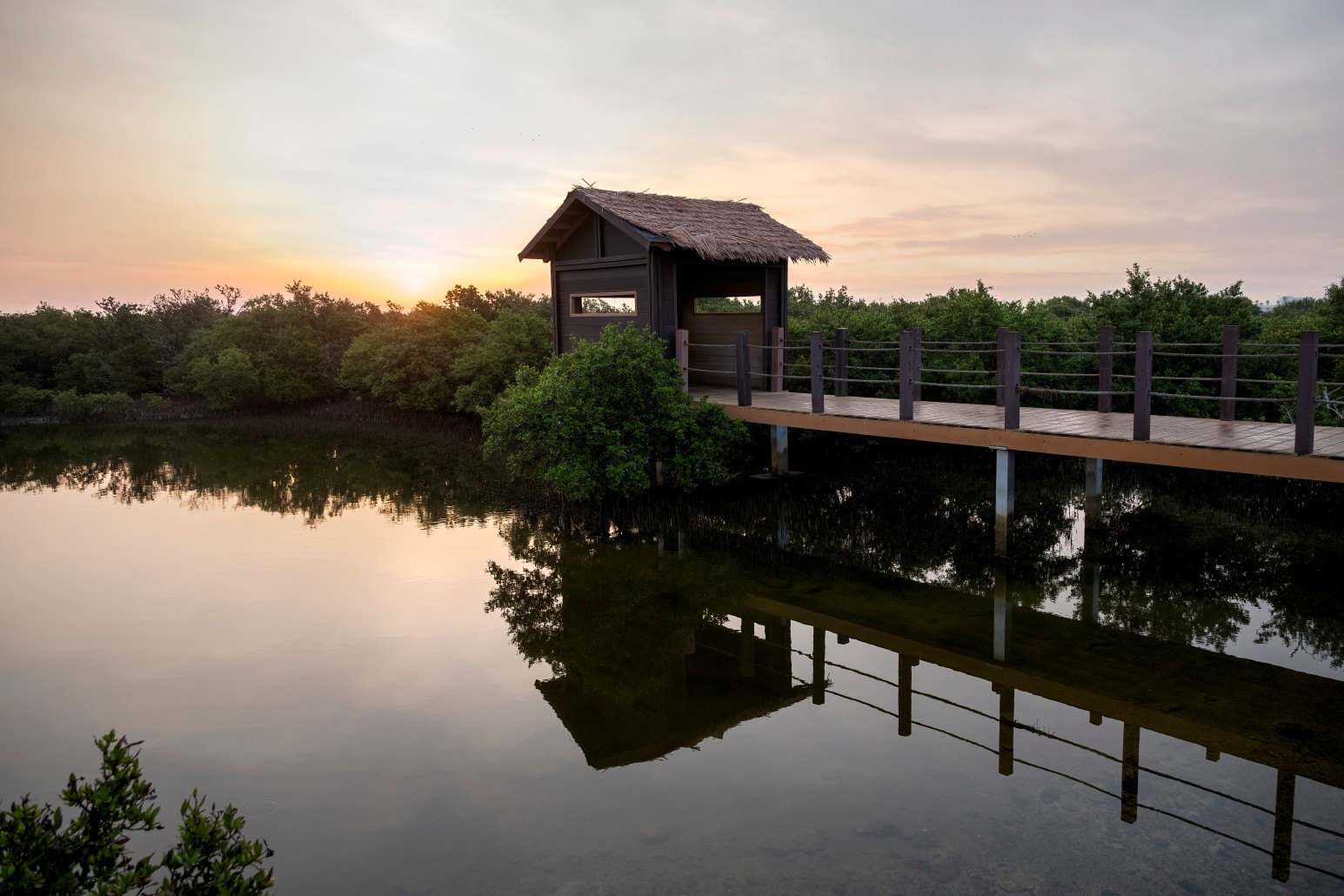 A thatched-roof wooden hide at the end of a boardwalk through the mangroves of Al Khor, Qatar, reflected in still water at sunset