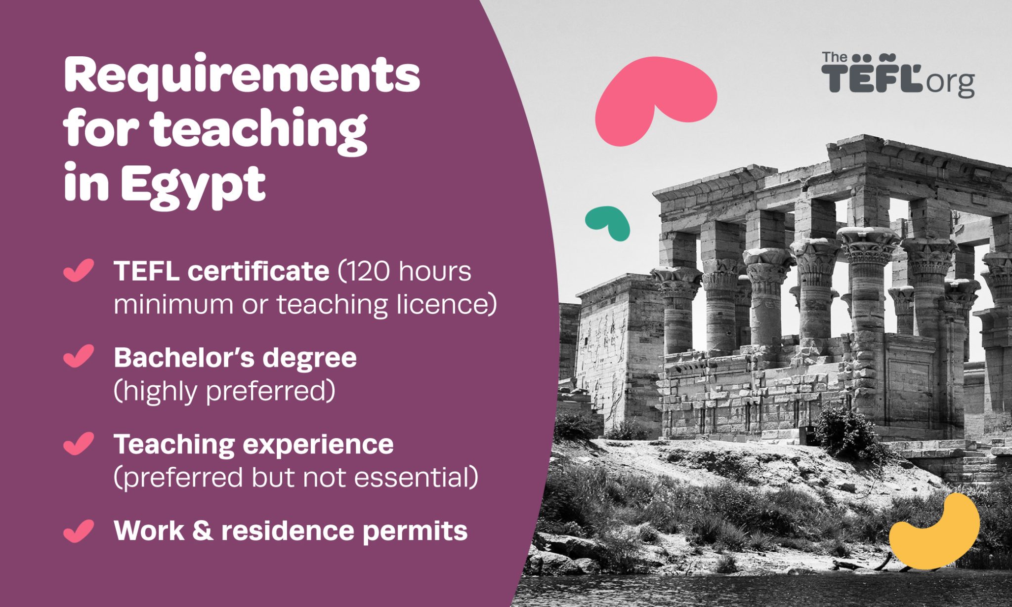 Infographic listing requirements for teaching English in Egypt: TEFL certificate (120 hours minimum) or teaching licence, bachelor’s degree (highly preferred), teaching experience (preferred but not essential), and work and residence permits
