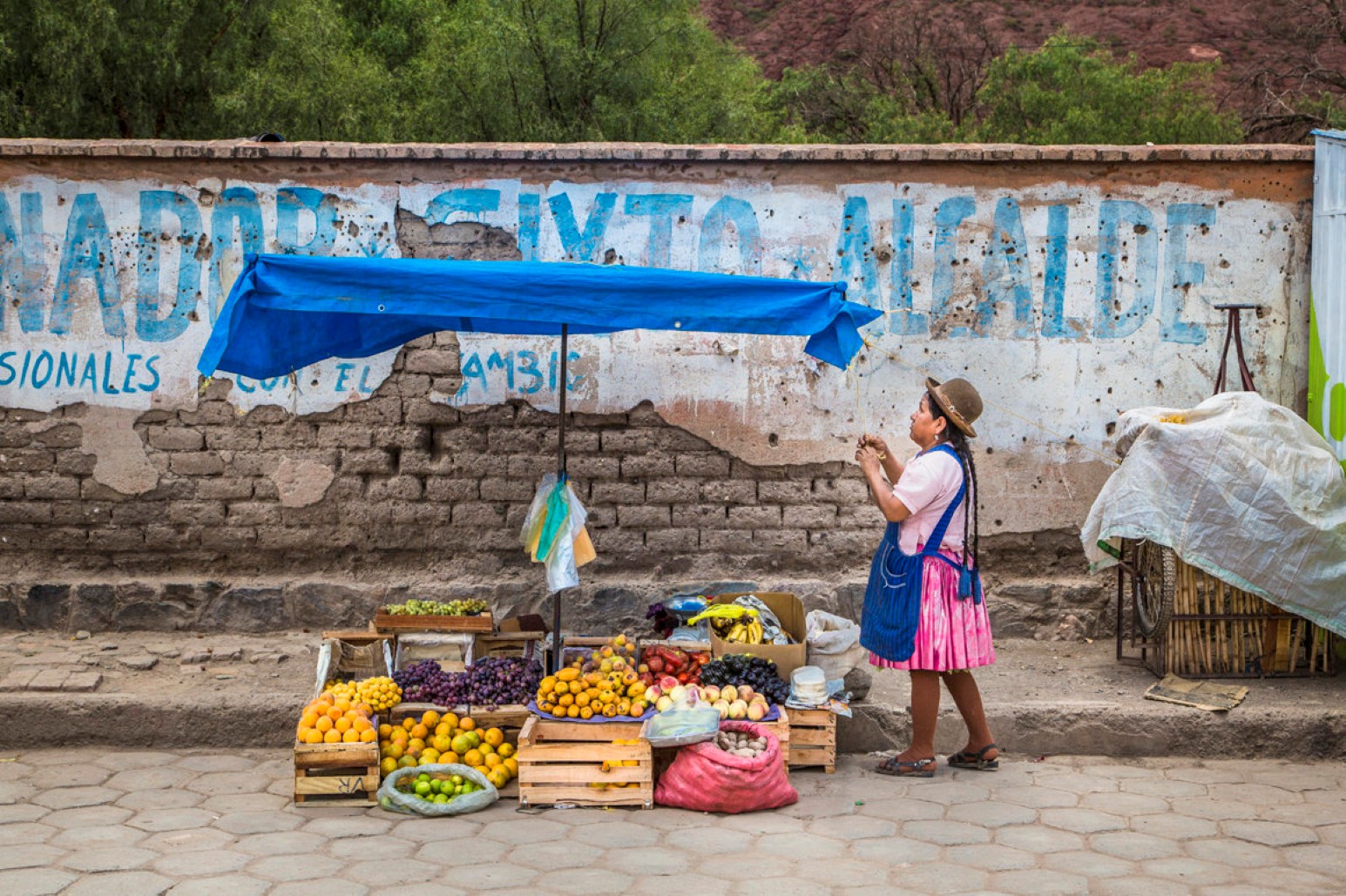 A woman in a bowler hat, pink skirt and blue apron with long braids tying up a blue awning over her fruit stall in Tupiza, Bolivia, with crates of oranges, grapes and bananas in front of a weathered adobe wall with faded painted lettering